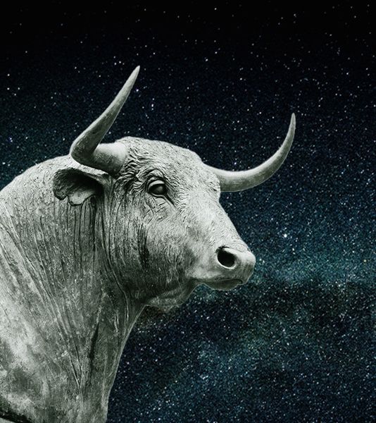 Western zodiac sign, Taurus