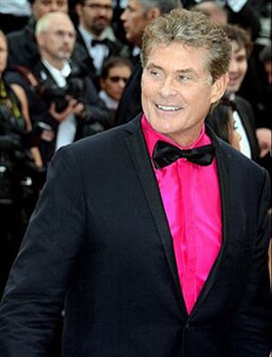 David Hasselhoff