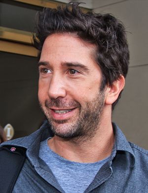 David Schwimmer